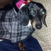 My baby Roxy