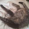 Sara Stretching