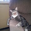 HELLO THERE MY NAME IS SPAZ